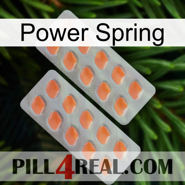 Power Spring 27.jpg